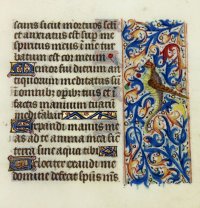 Dragon/Bird hybrid. Book of Hours leaf, 1465, France Dragon/Bird hybrid. Book of Hours leaf, 1465, France
