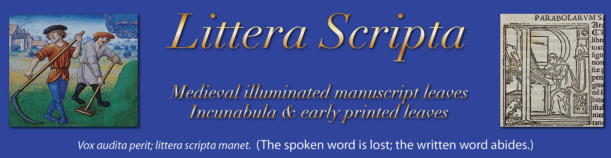 Medieval illuminated manuscript leaves Medieval illuminated manuscript leaves